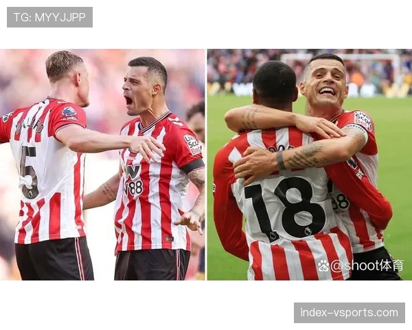 格拉尼特·扎卡470万年薪回归英超 桑德兰升班马经验支柱 格拉尼特·扎卡470万年薪回归英超 桑德兰升班马经验支柱